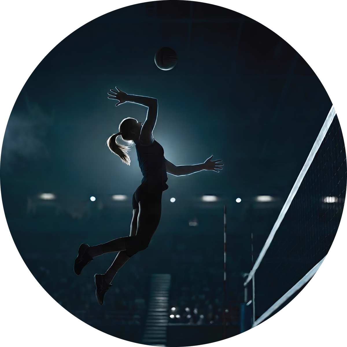 Volleyball Kill
